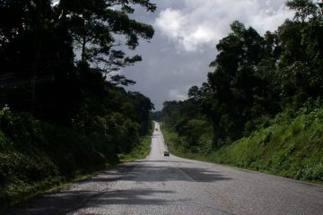 Mabira Forest