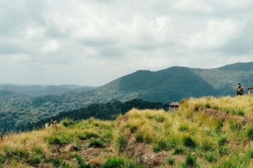 Mountain Kabuye