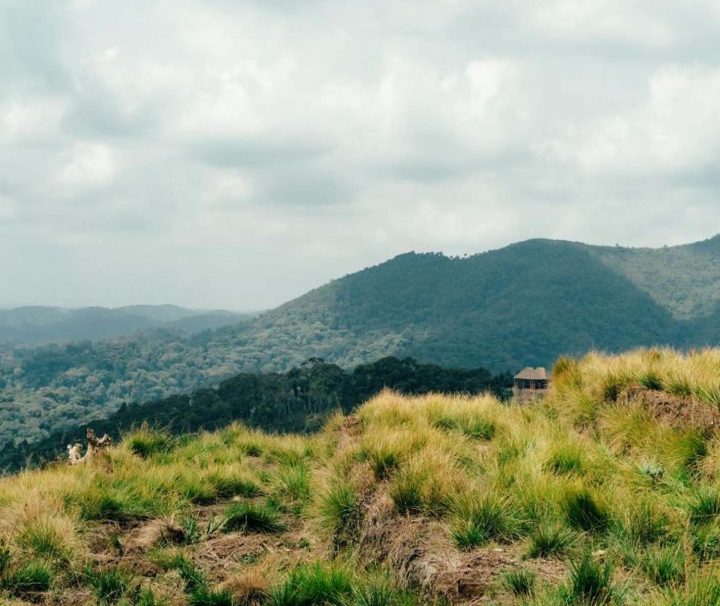 Mountain Kabuye