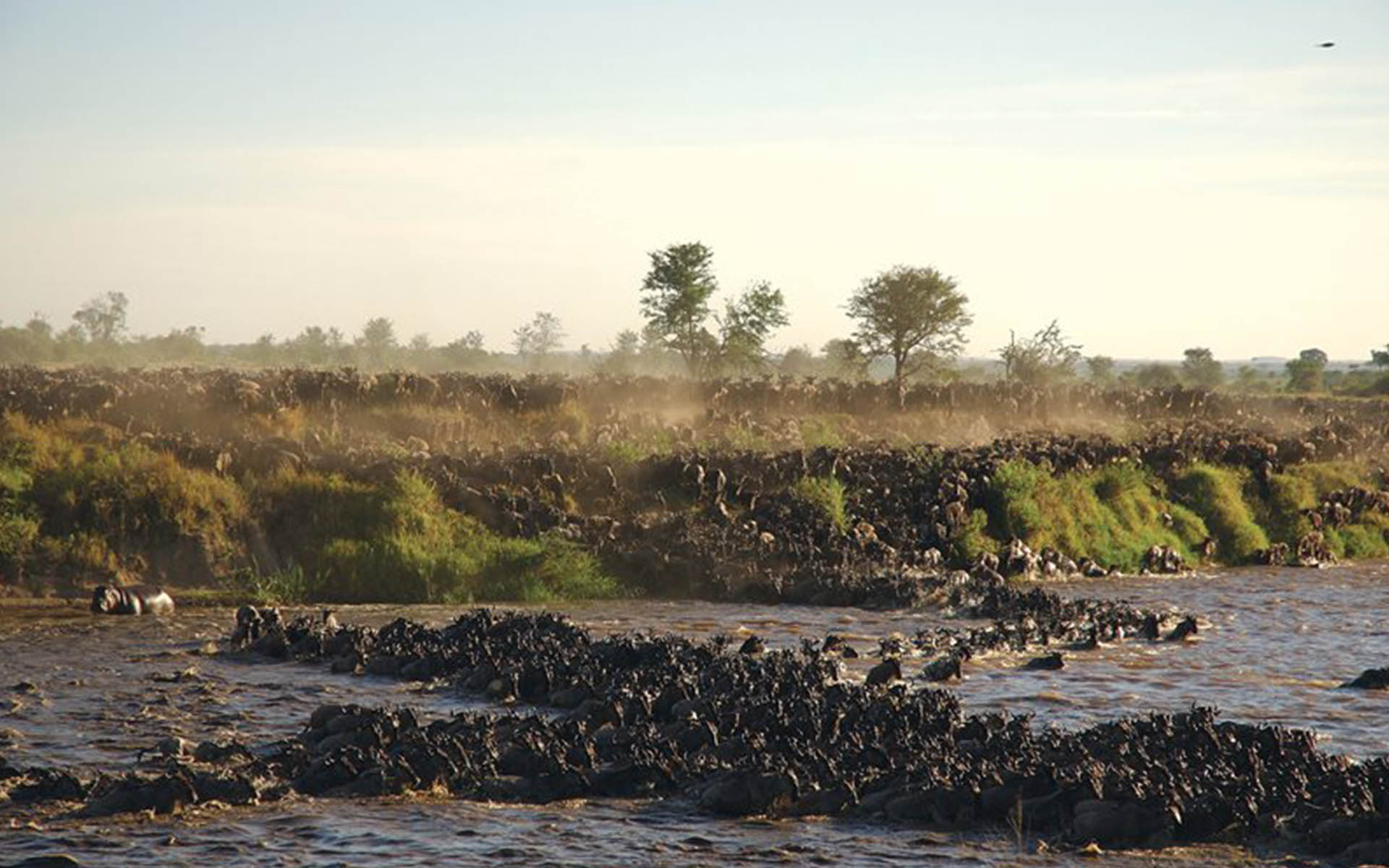 5 Days Lake Manyara/ Serengeti/ Ngorongoro Safari