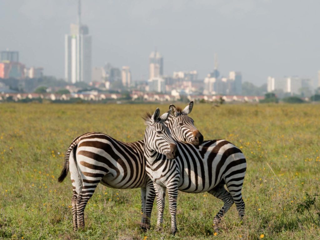 nairobi-national-park