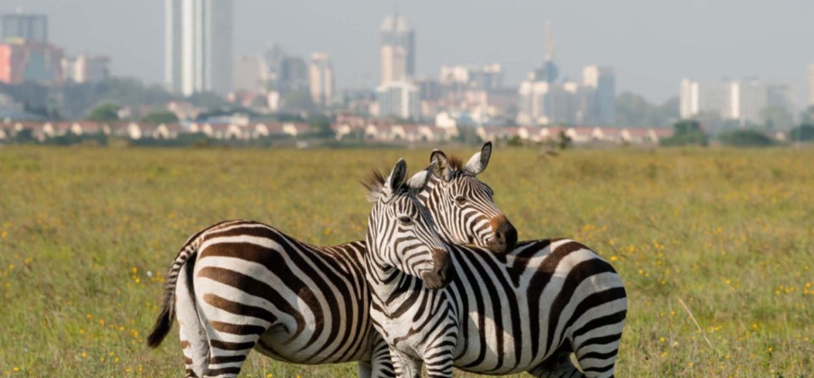 nairobi-national-park