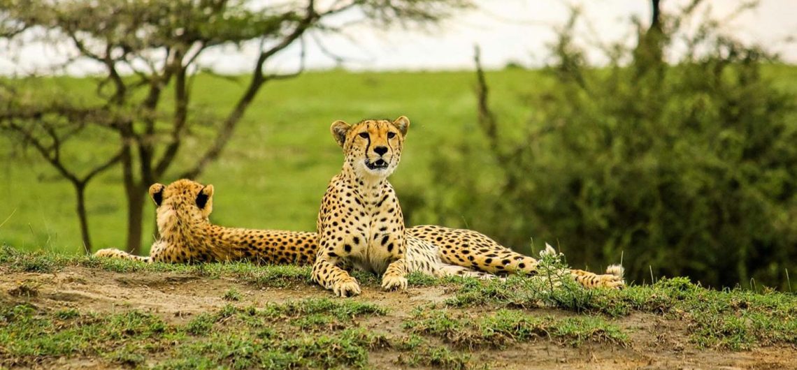 Tarangire National Park