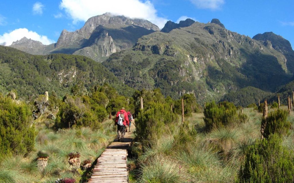 Ruwenzori Mountain National Park