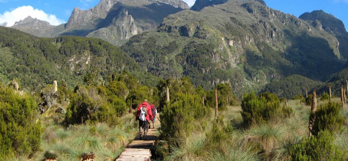 Ruwenzori Mountain National Park