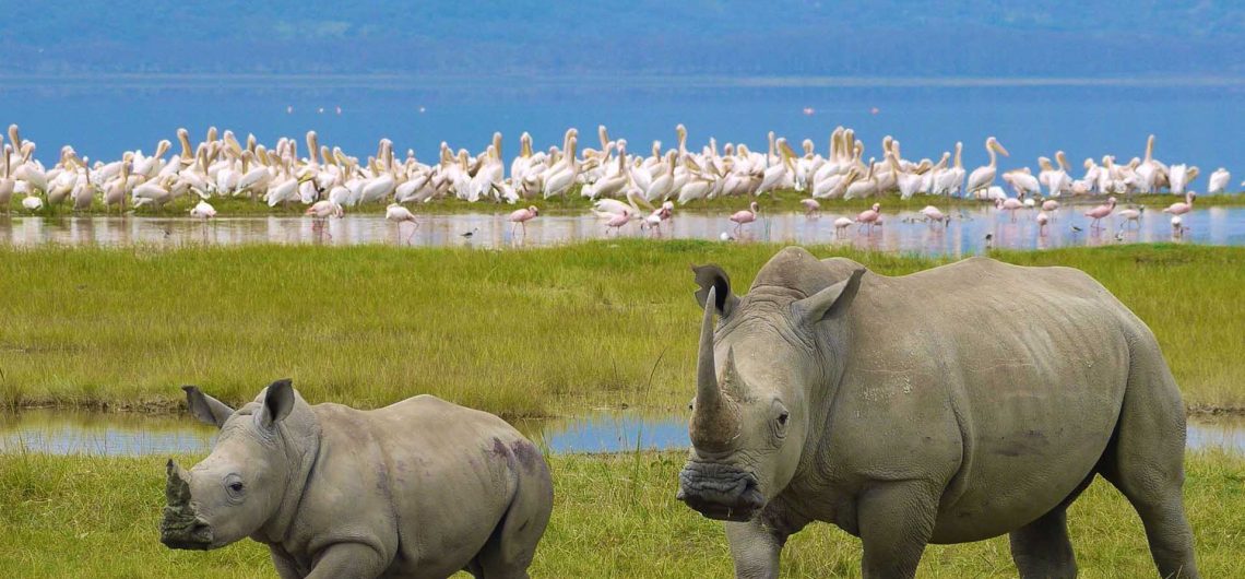 Lake Nakuru National Park