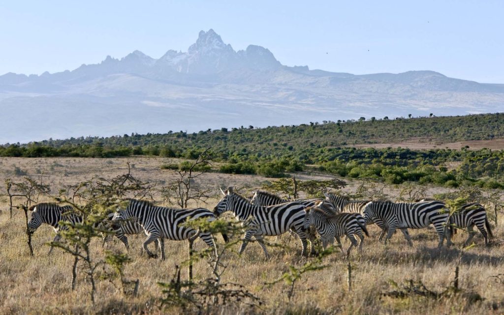 Mount Kenya National Park