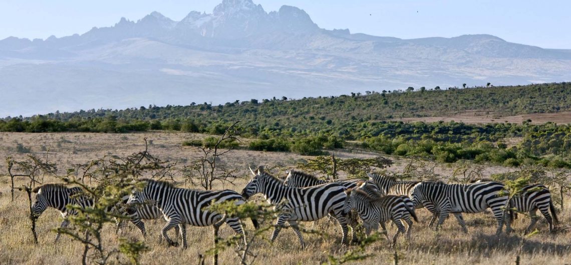 Mount Kenya National Park