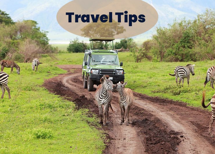 Exciting East African Tours