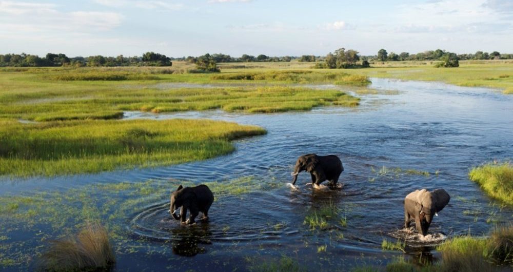 Okavango-Delta_.jpg