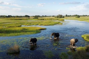 Okavango-Delta_.jpg