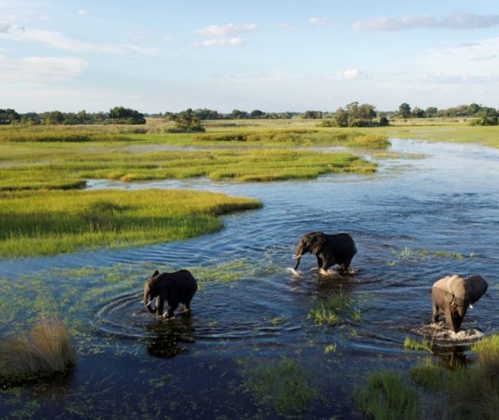 Okavango-Delta_.jpg