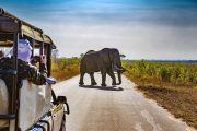 13-days-botswana-and-namibia-safari-experience.-exciting-east-african-tours