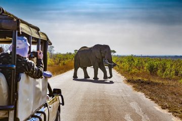 13-days-botswana-and-namibia-safari-experience.-exciting-east-african-tours