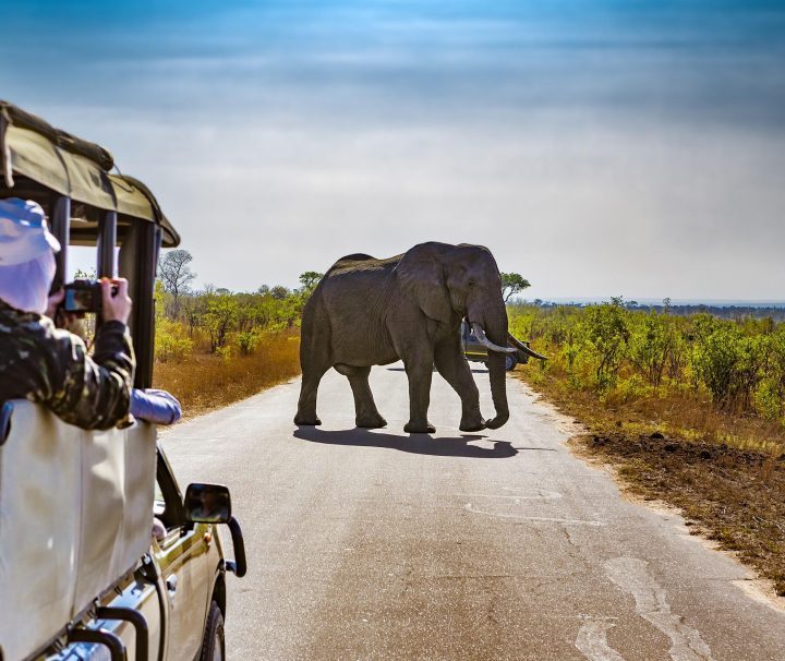 13-days-botswana-and-namibia-safari-experience.-exciting-east-african-tours