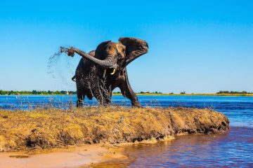 13-days-botswana-and-namibia-safari-experience.-exciting-east-african-tours