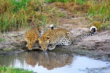 10-days-safrica-private-expeditions