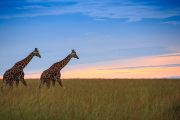 10-days-safrica-private-expeditions