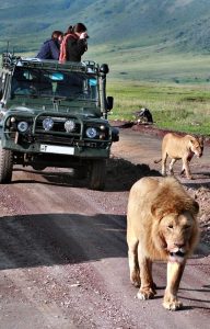 Safari in Tanzania